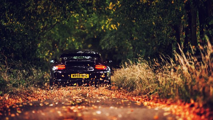 Wallpapers Cars Porsche Wallpaper N371091