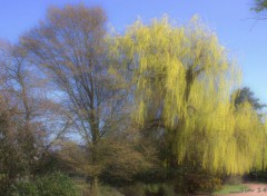  Nature arbres et fleurs de jardin