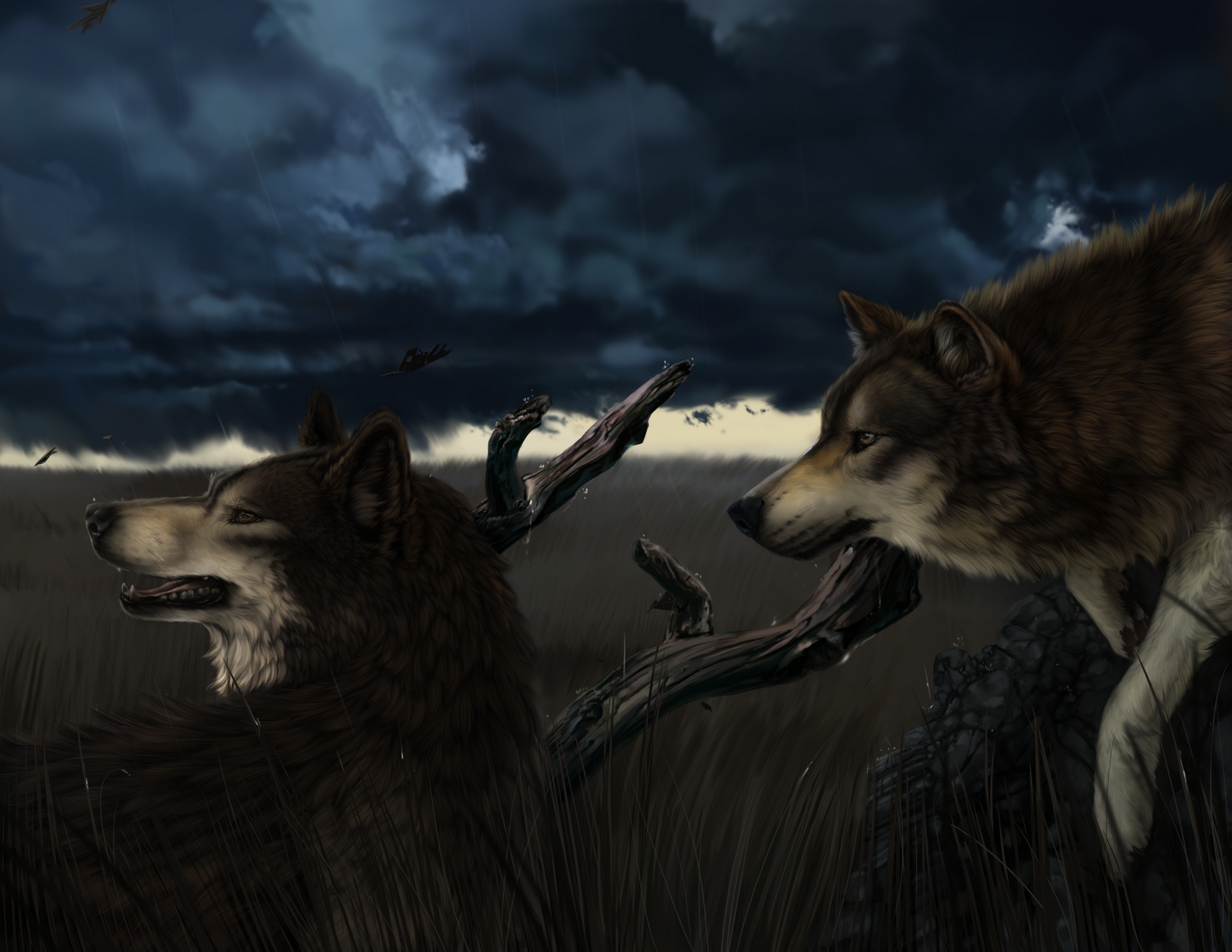 Wallpapers Digital Art Animals Loups