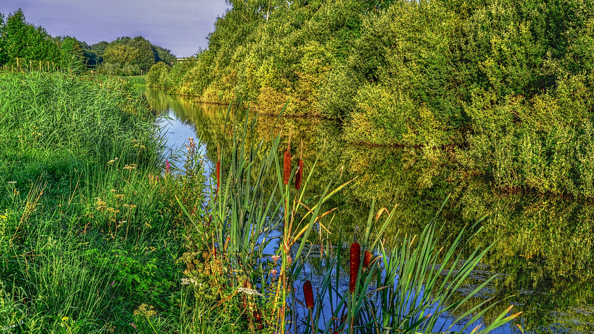 Fonds d'cran Nature Canaux au fil de l'eau