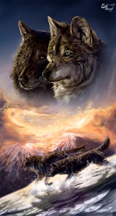 Wallpapers Digital Art Animals Loups