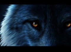  Art - Numrique Yeux de loup