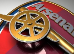  Sports - Leisures Arsenal 3D