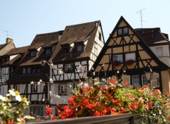  Trips : Europ Colmar