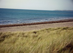  Nature Plage au vent