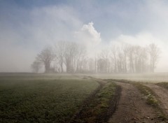  Nature brouillard