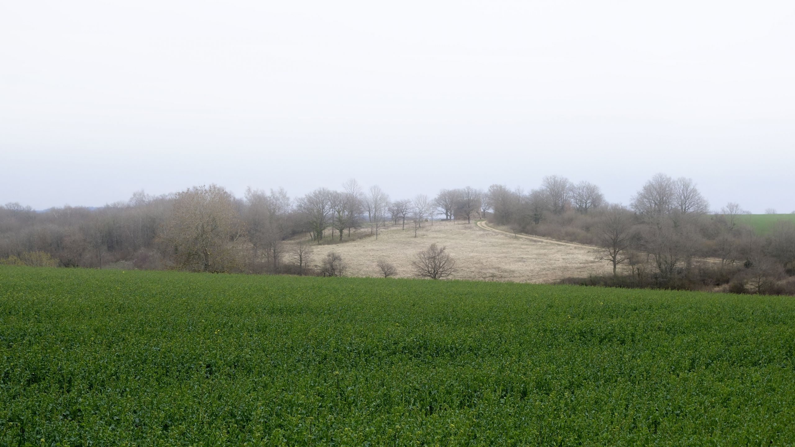 Wallpapers Nature Fields Paysage