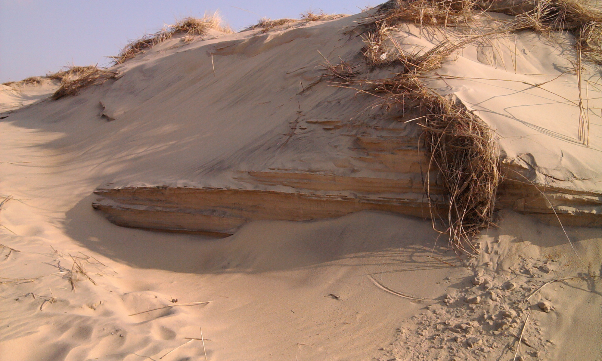 Fonds d'cran Nature Mers - Ocans - Plages dune de sable