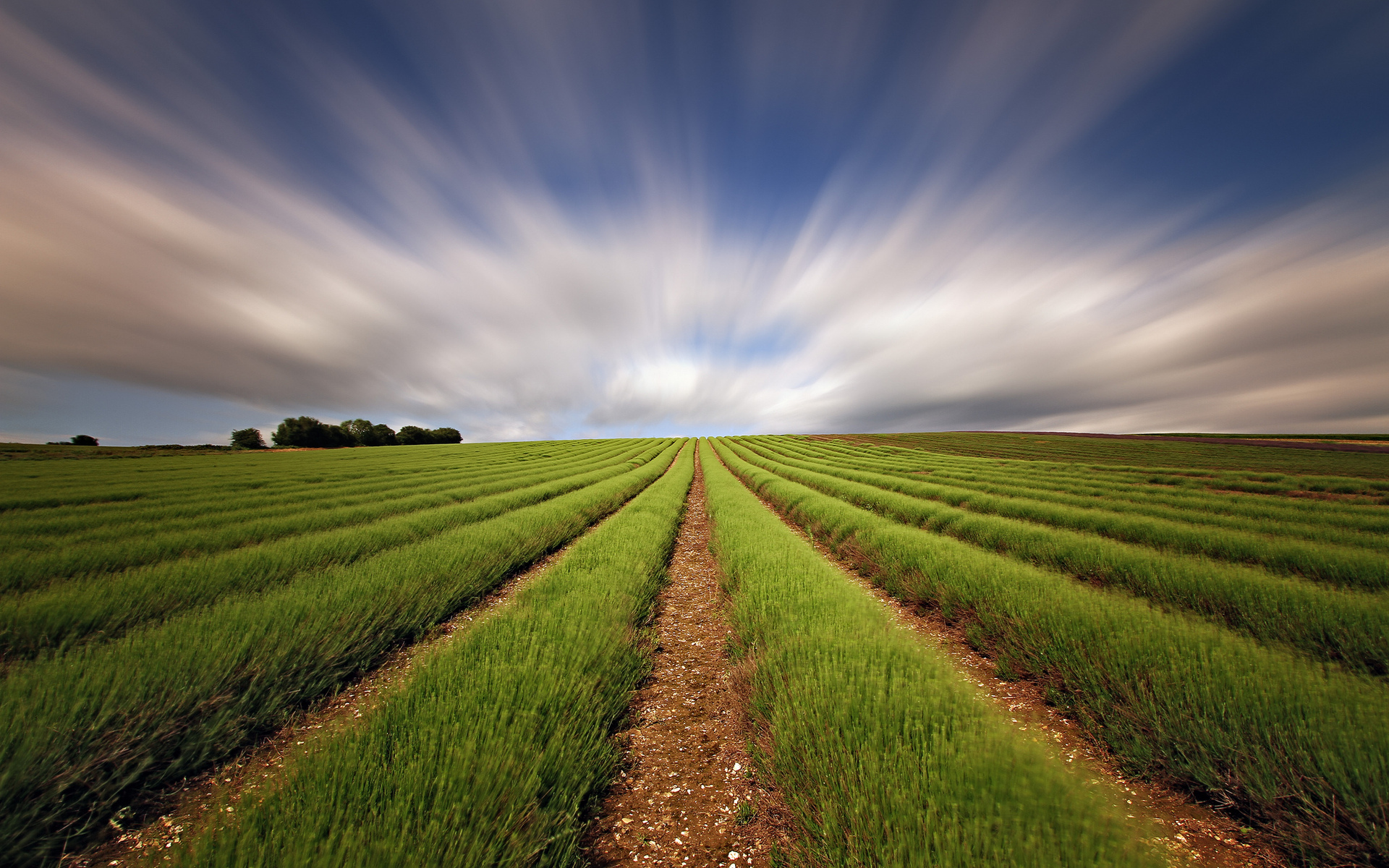 Fonds d'cran Nature Champs - Prairies 