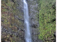  Nature Cascade Biberon