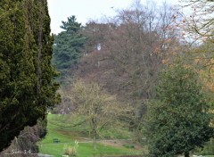  Nature parc, arbres