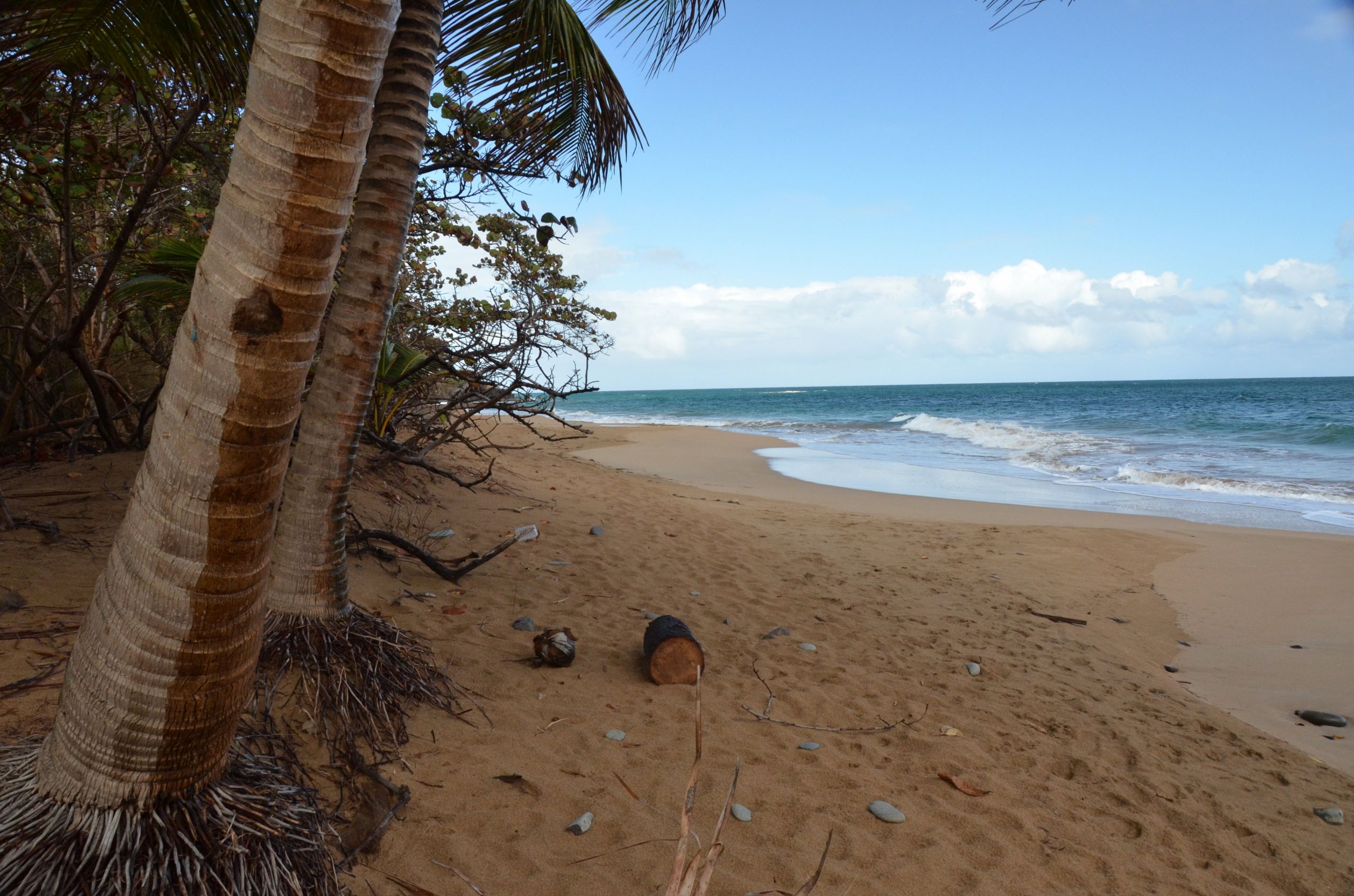 Fonds d'cran Nature Mers - Ocans - Plages 