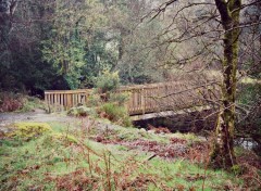  Nature Pont dans la nature