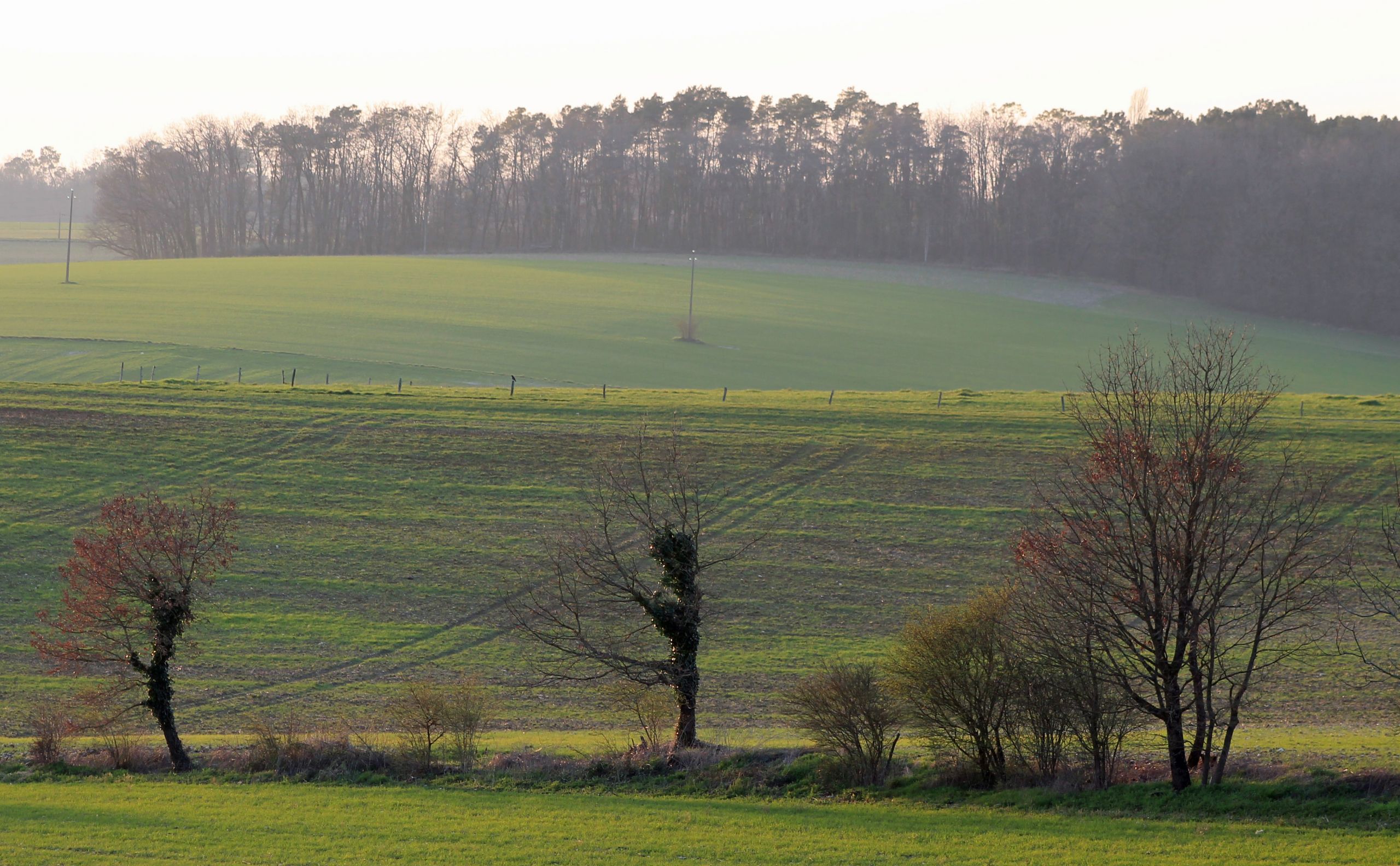 Fonds d'cran Nature Paysages 