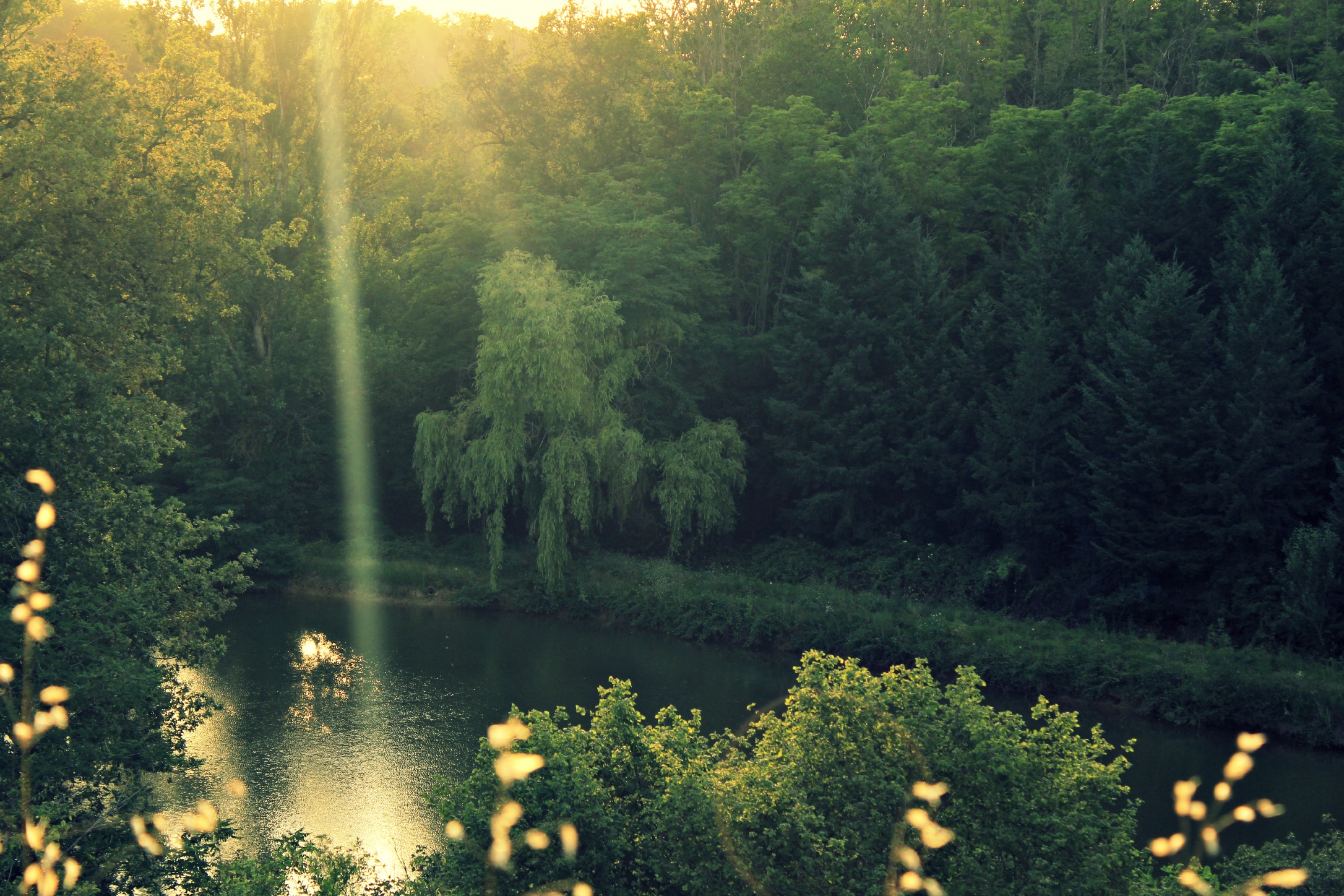 Wallpapers Nature Lakes - Ponds soleil sur lac