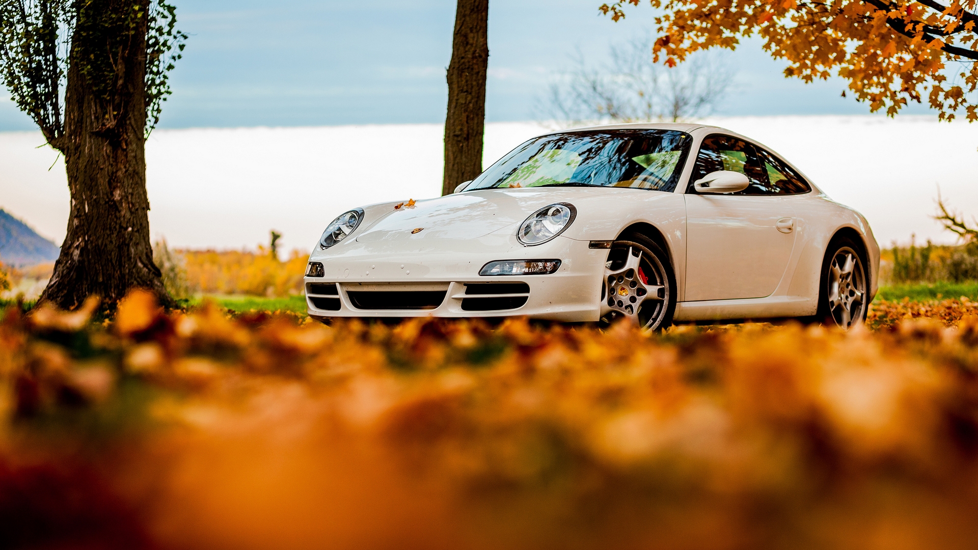 Wallpapers Cars Porsche 