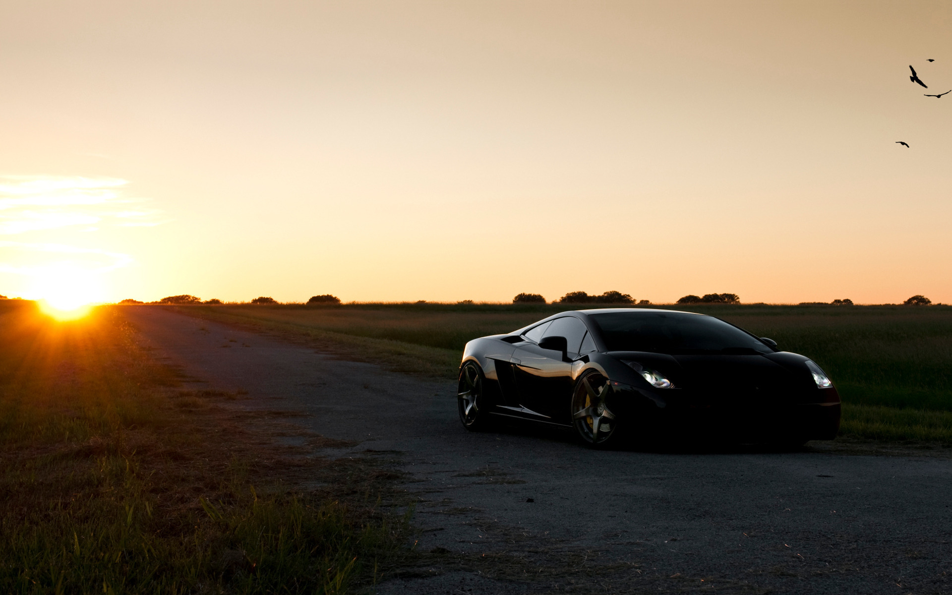 Fonds d'cran Voitures Lamborghini 