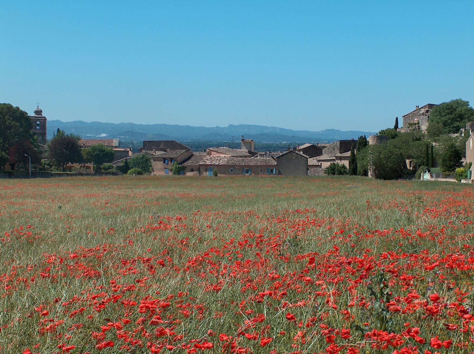 Fonds d'cran Nature Champs - Prairies Provence au printemps