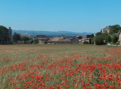  Nature Provence au printemps