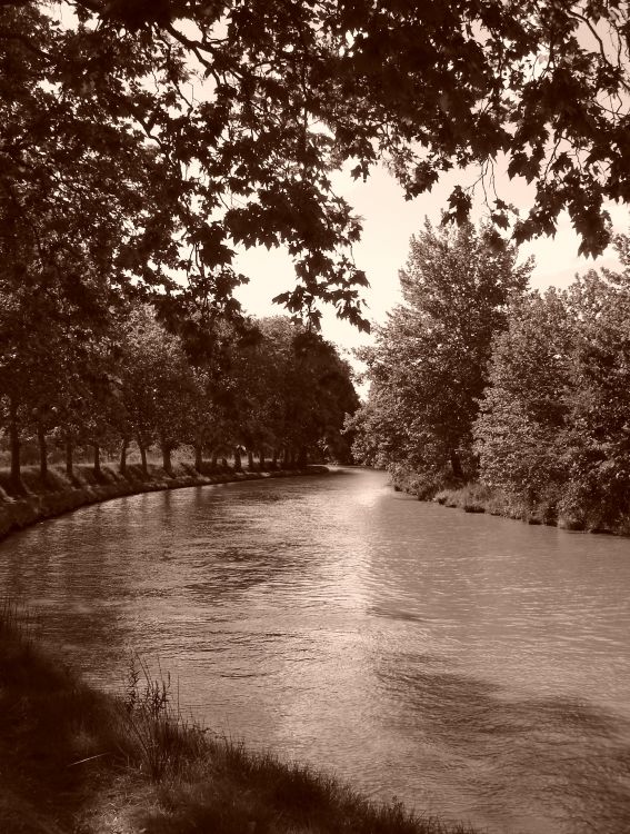 Fonds d'cran Voyages : Europe France > Languedoc-Roussillon Canal du Midi...