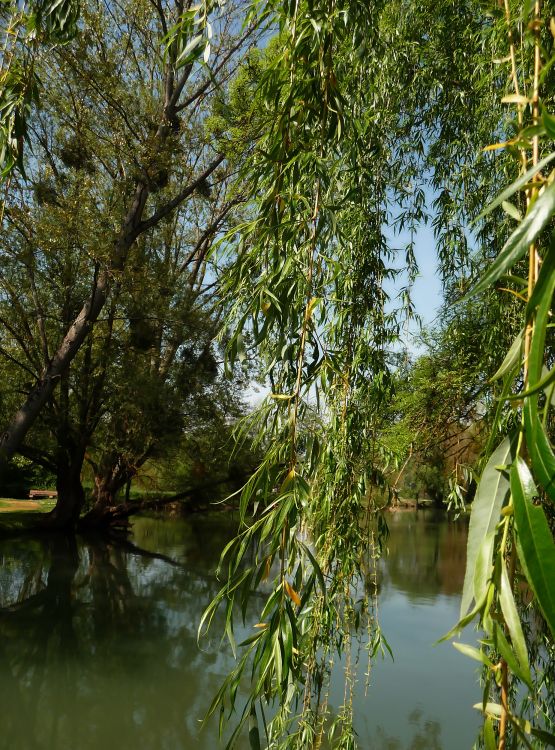 Wallpapers Nature Lakes - Ponds les Jardins du duc Jean de Berry