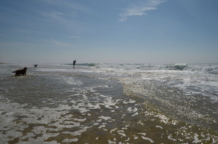 Fonds d'cran Nature Mers - Ocans - Plages le pêcheur