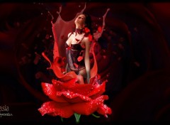  Art - Numrique Rose Lace