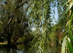  Nature les Jardins du duc Jean de Berry