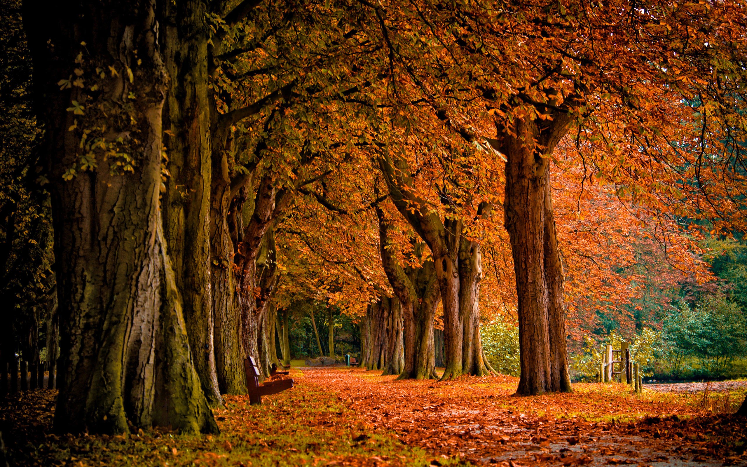 Fonds d'cran Nature Saisons - Automne 