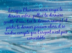  Art - Numrique proverbe indien