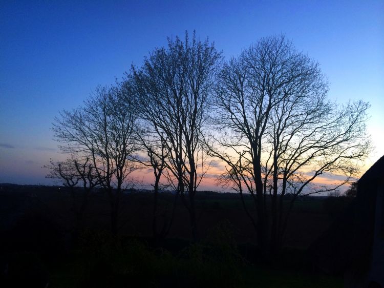 Fonds d'cran Nature Campagne Coucher de soleil 