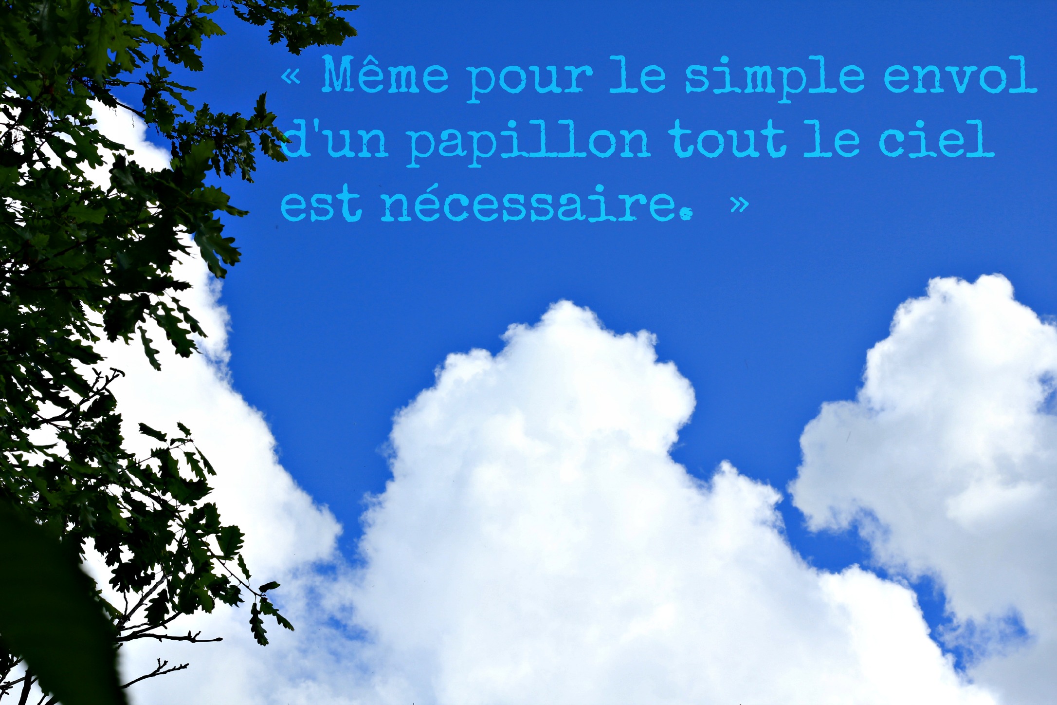 Wallpapers Digital Art Poetry - Texts  Mme pour le simple envol d'un papillon tout le ciel est ncessaire.  Paul Claudel