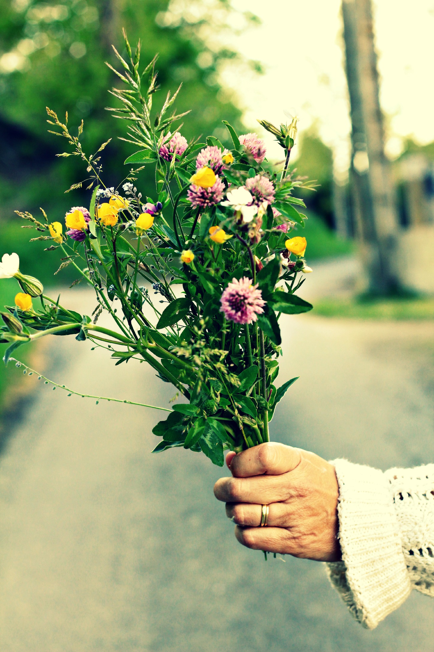 Wallpapers Nature Flowers bouquet de fleur