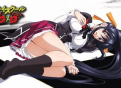  Manga HighSchool DxD 