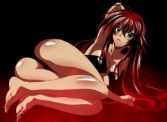  Manga HighSchool DxD 