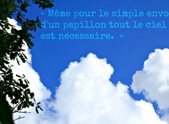  Art - Numrique  Mme pour le simple envol d'un papillon tout le ciel est ncessaire.  Paul Claudel