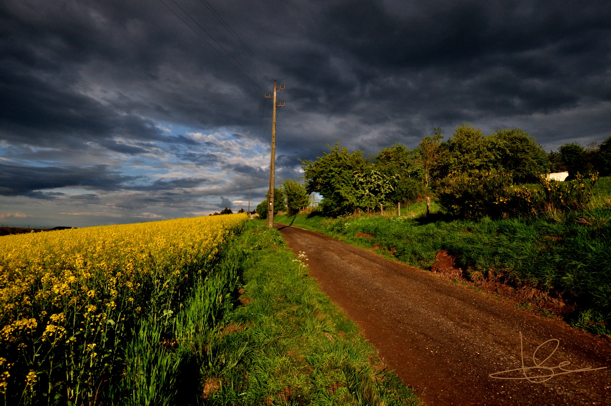 Wallpapers Nature Landscapes Marchin après la pluie...