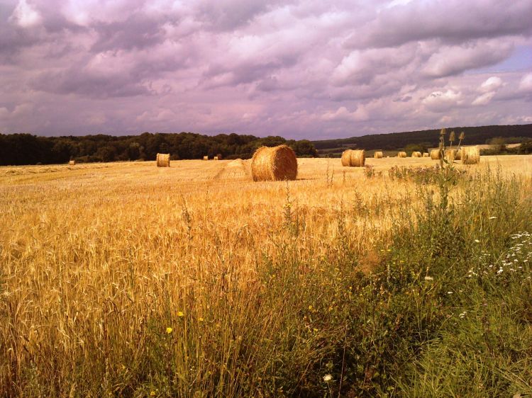 Wallpapers Trips : Europ France > Bourgogne Les Chapelles - Venoy