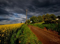  Nature Marchin après la pluie...