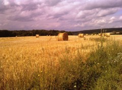  Trips : Europ Les Chapelles - Venoy