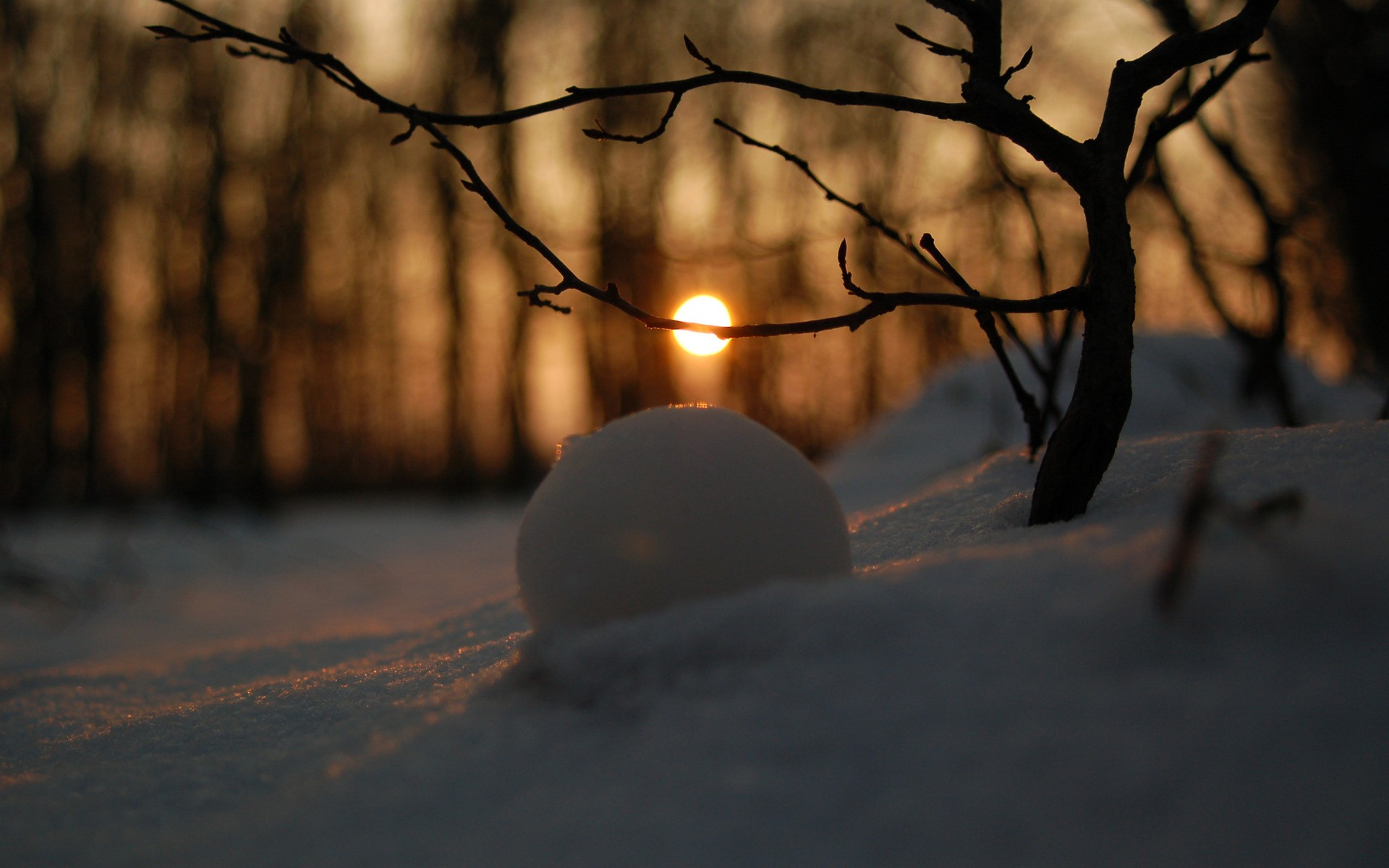 Wallpapers Nature Saisons - Winter 