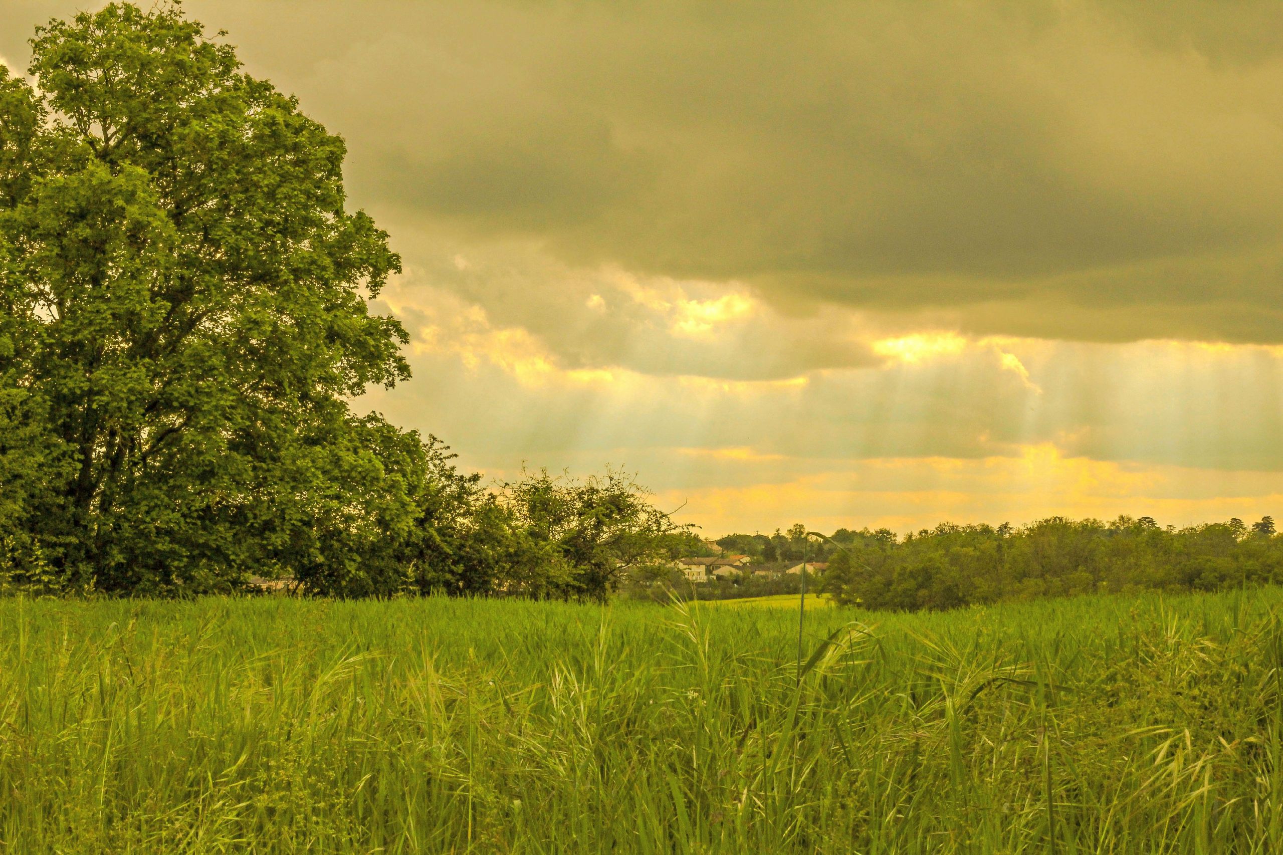 Fonds d'cran Nature Paysages soleil dans la nature