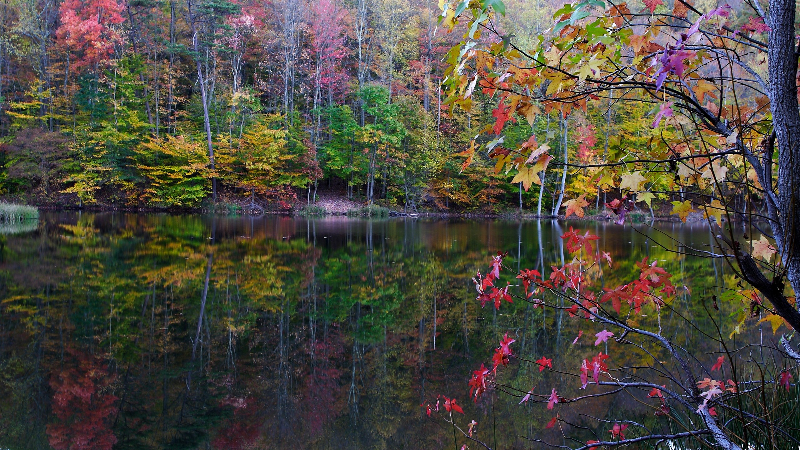 Wallpapers Nature Water - Reflection 