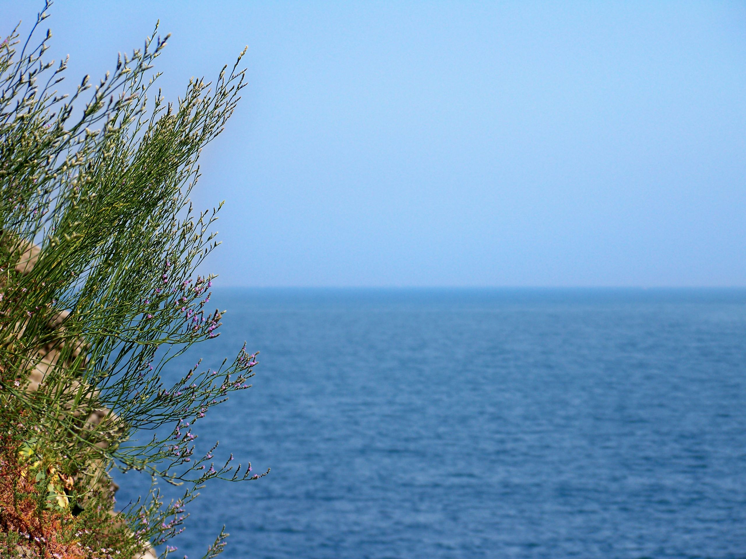 Fonds d'cran Nature Mers - Ocans - Plages 