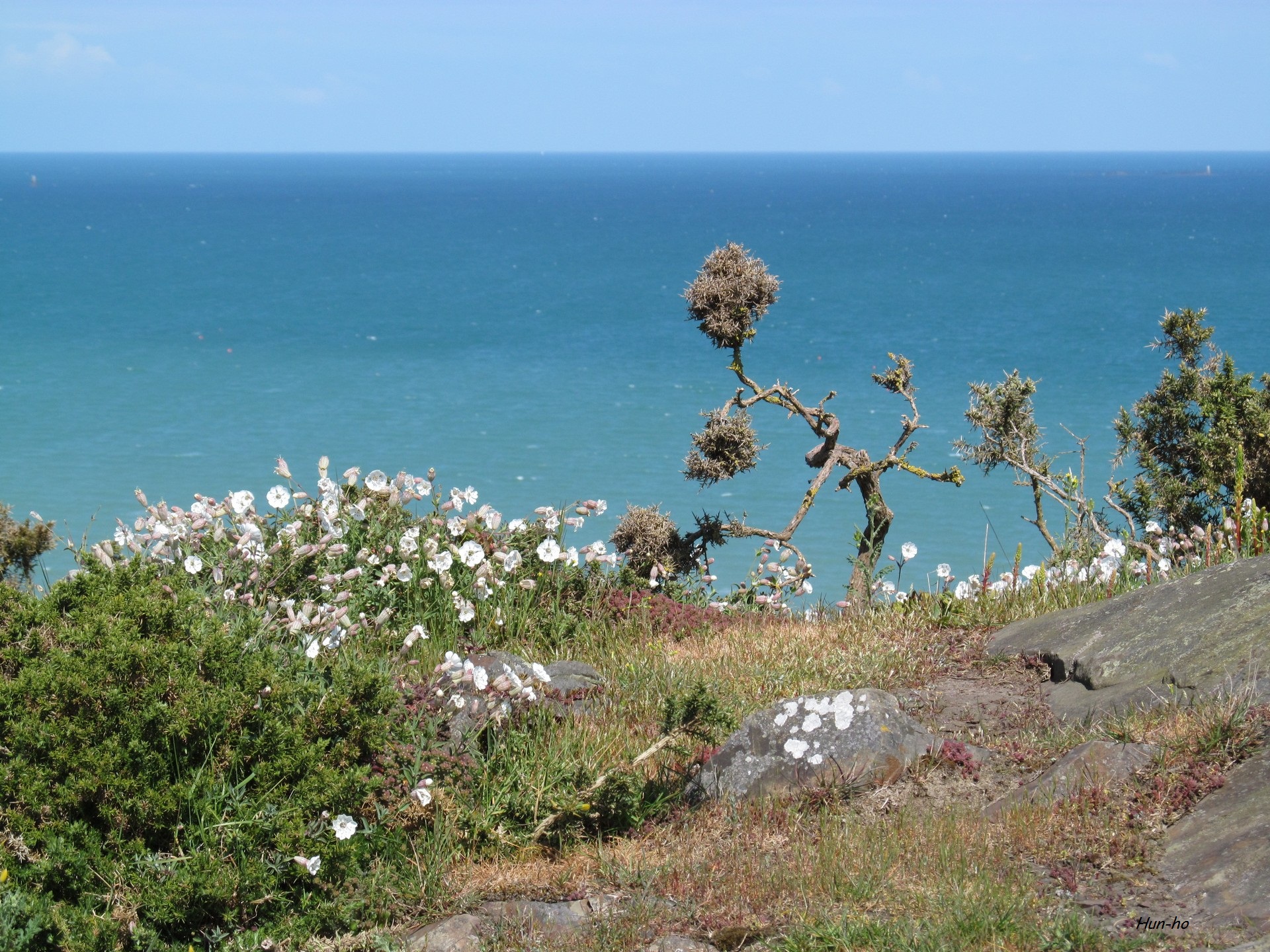 Fonds d'cran Nature Mers - Ocans - Plages 