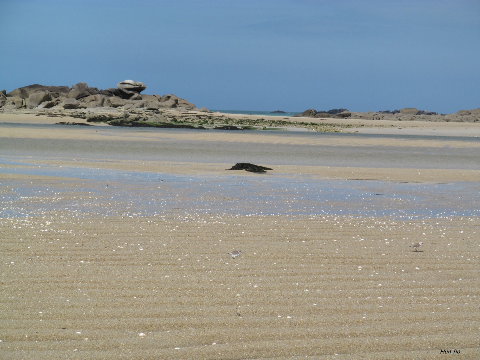 Fonds d'cran Nature Mers - Ocans - Plages 