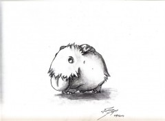  Art - Pencil poro 