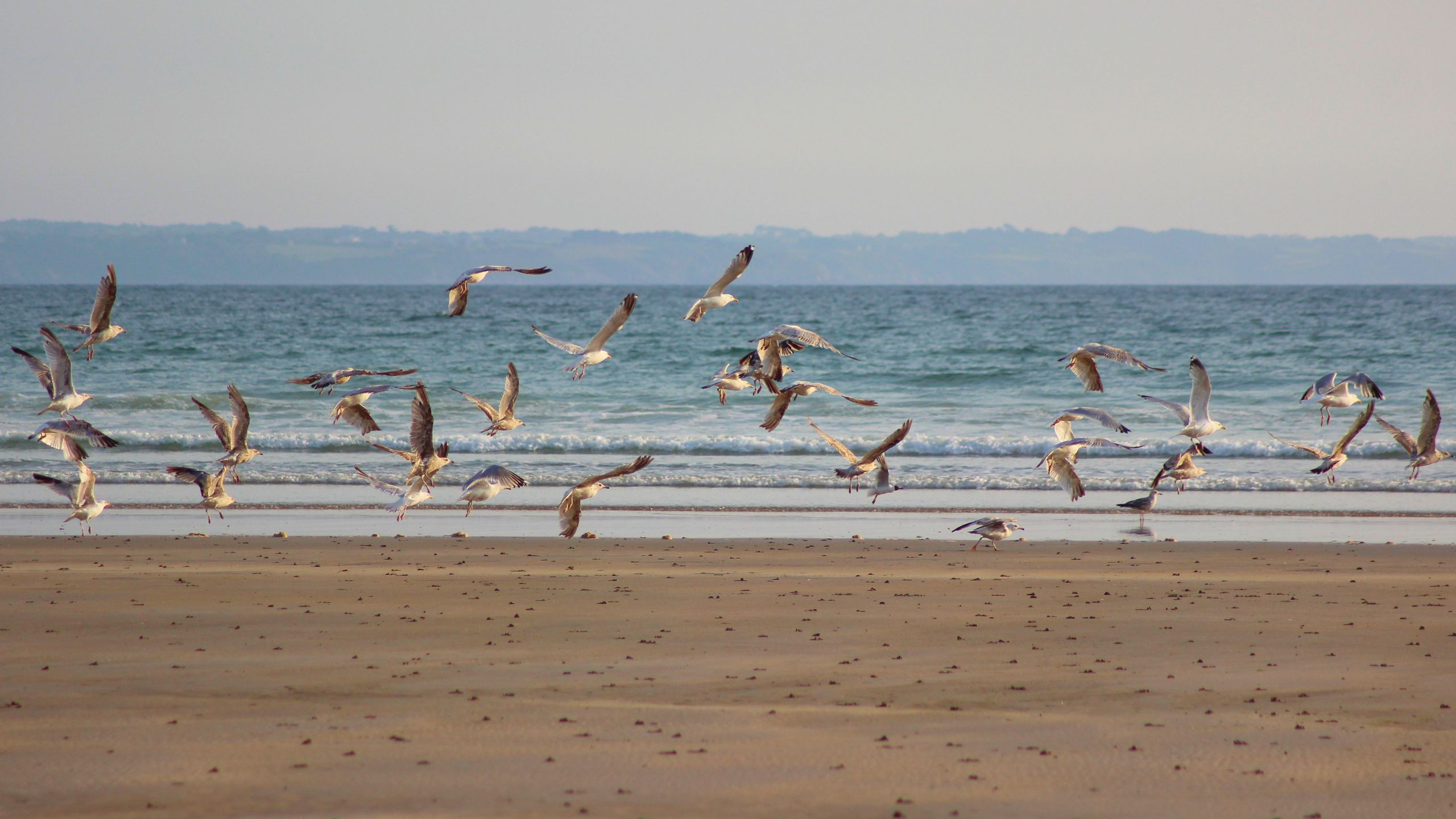 Fonds d'cran Nature Mers - Ocans - Plages 