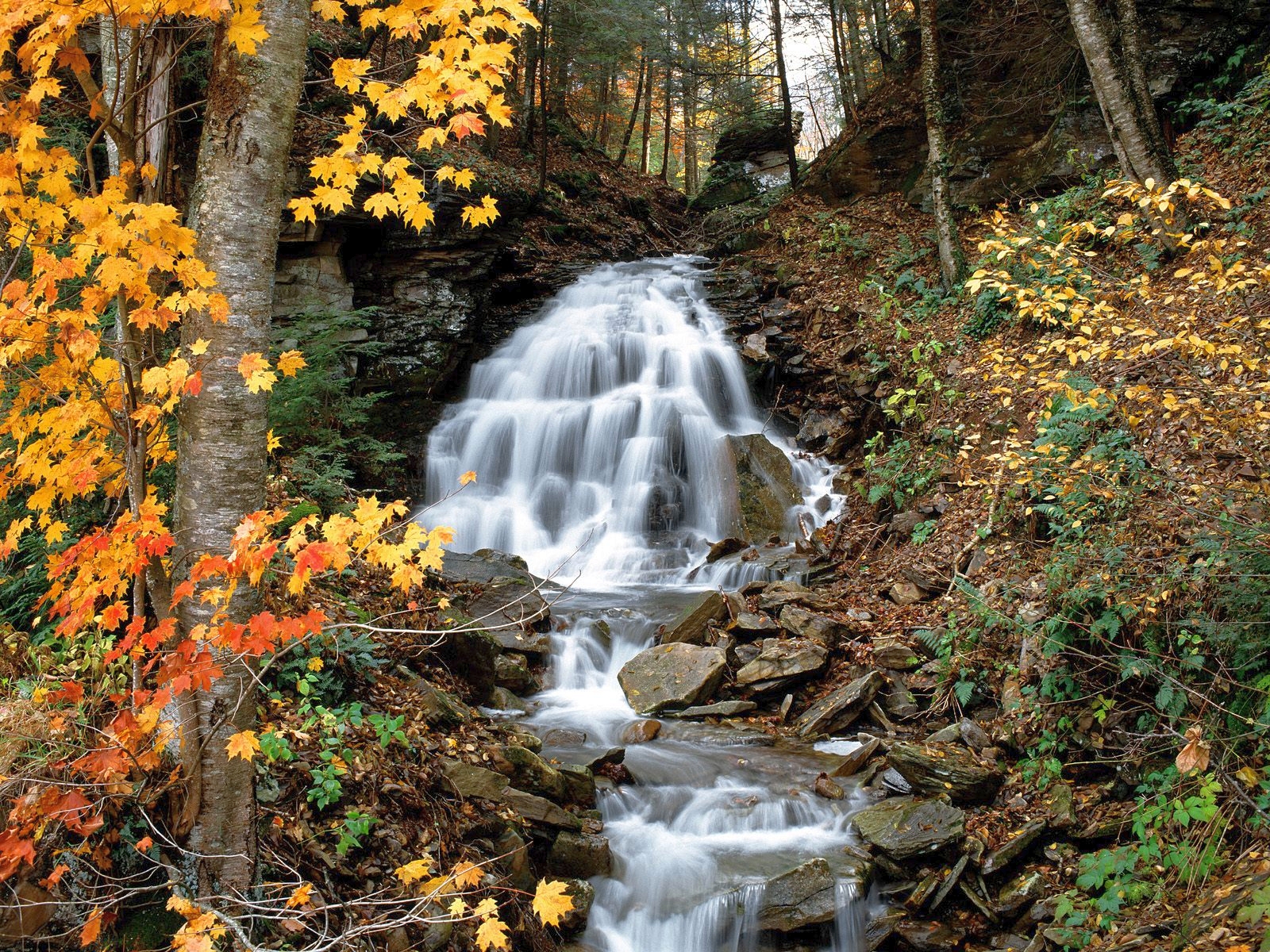 Fonds d'cran Nature Cascades - Chutes 