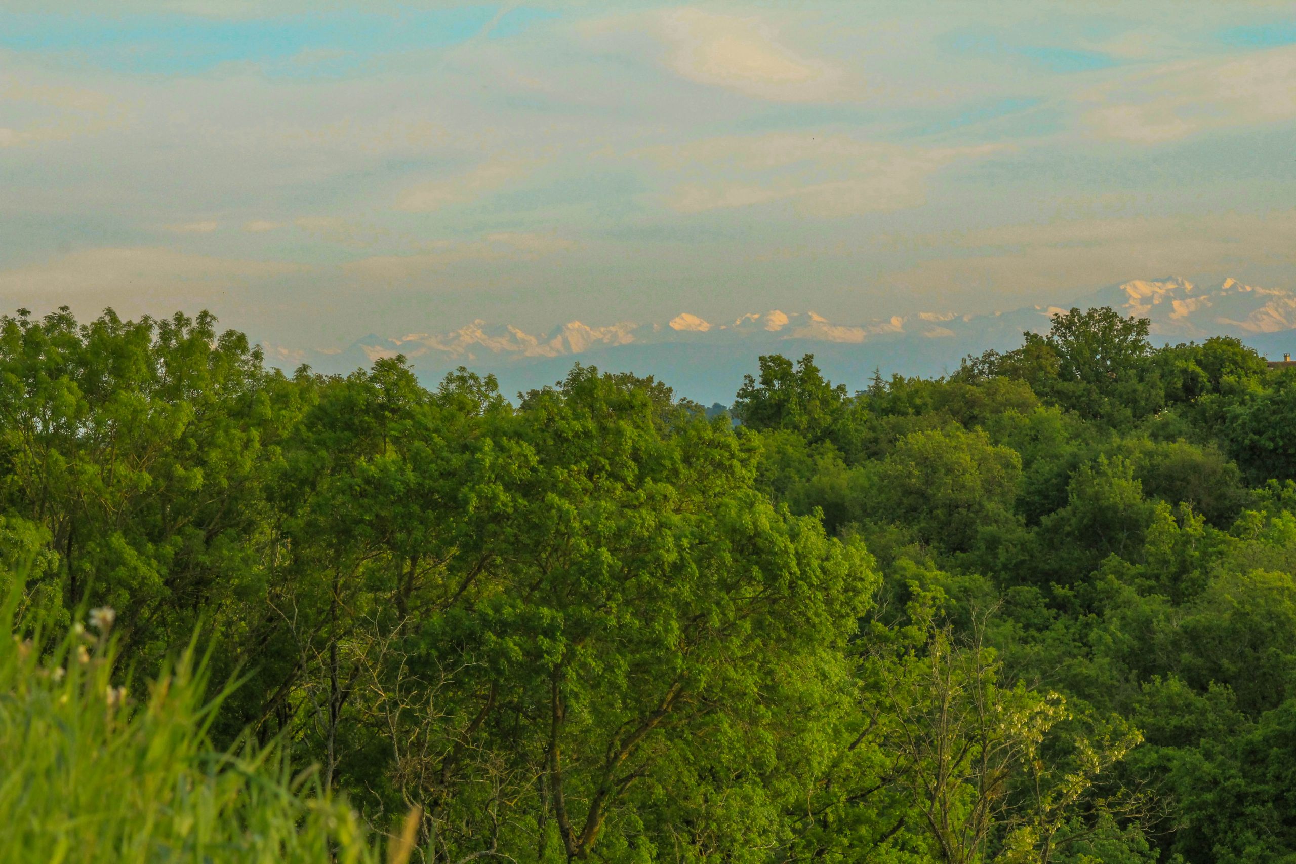 Fonds d'cran Nature Paysages Pyrénées caché par une fôret